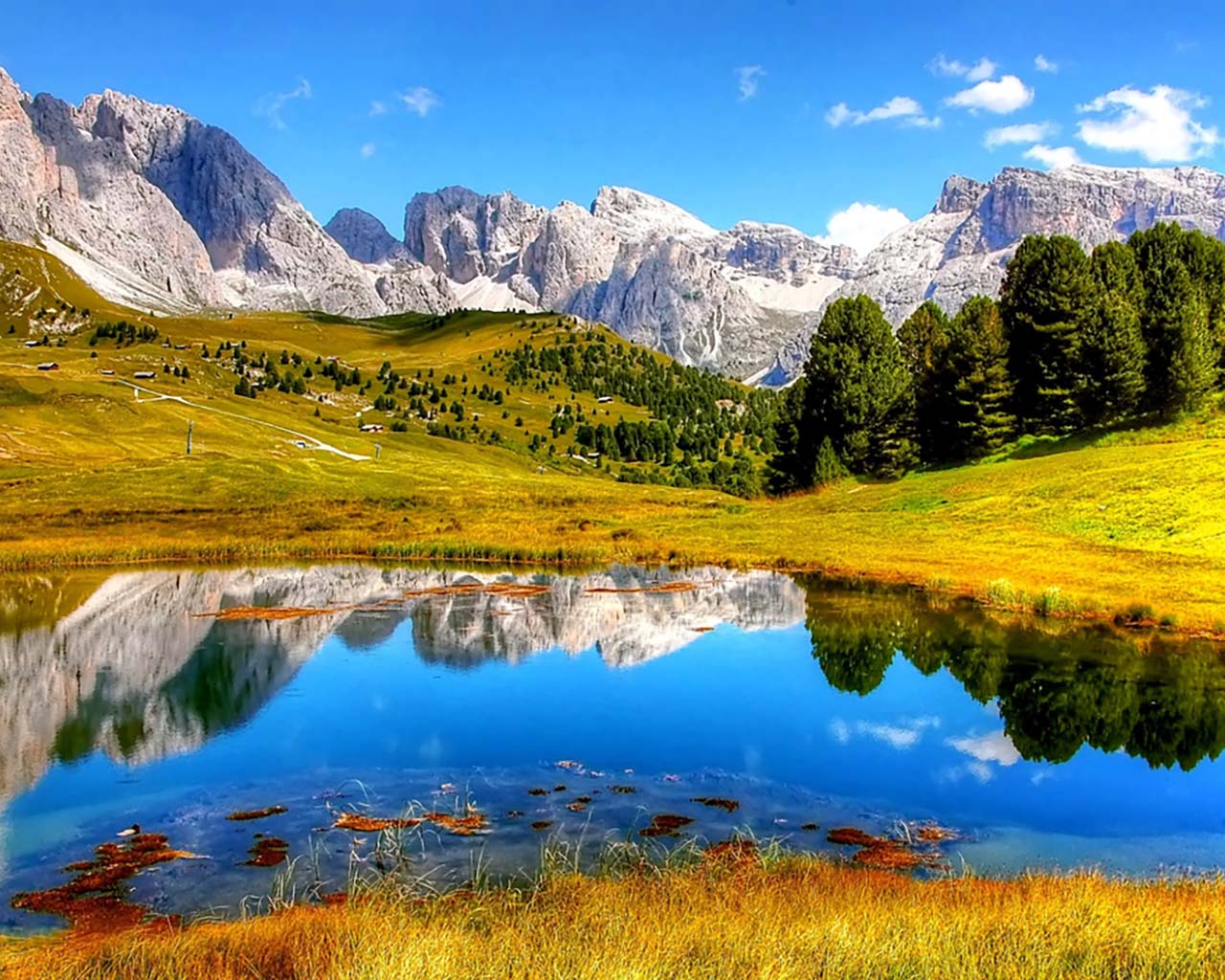 pexels-pixabay-371589